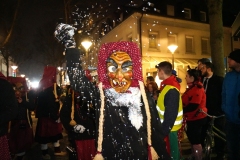 DSC03667_em_Nachtumzug_ZTG