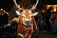 DSC03734_em_Nachtumzug_ZTG