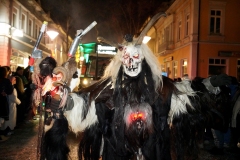 DSC04306_em_Nachtumzug